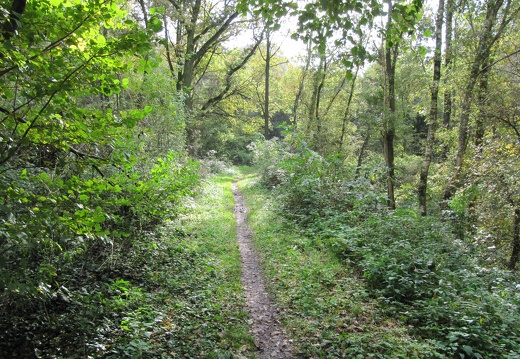 haaksbergen en omgeving