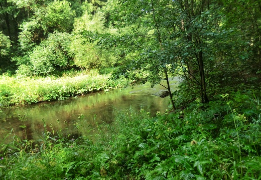 De Harz , oost duitsland